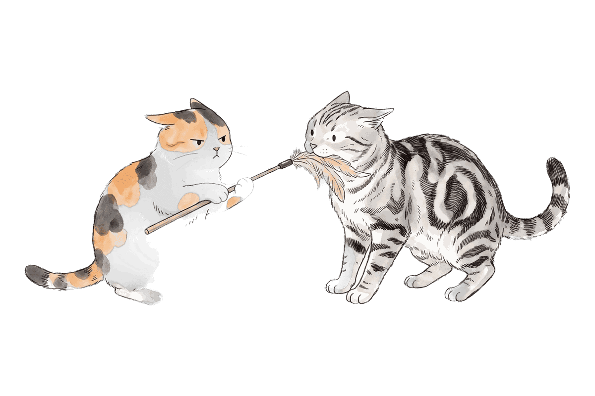 Mike and the American Shorthair both holding on to one feather wand
